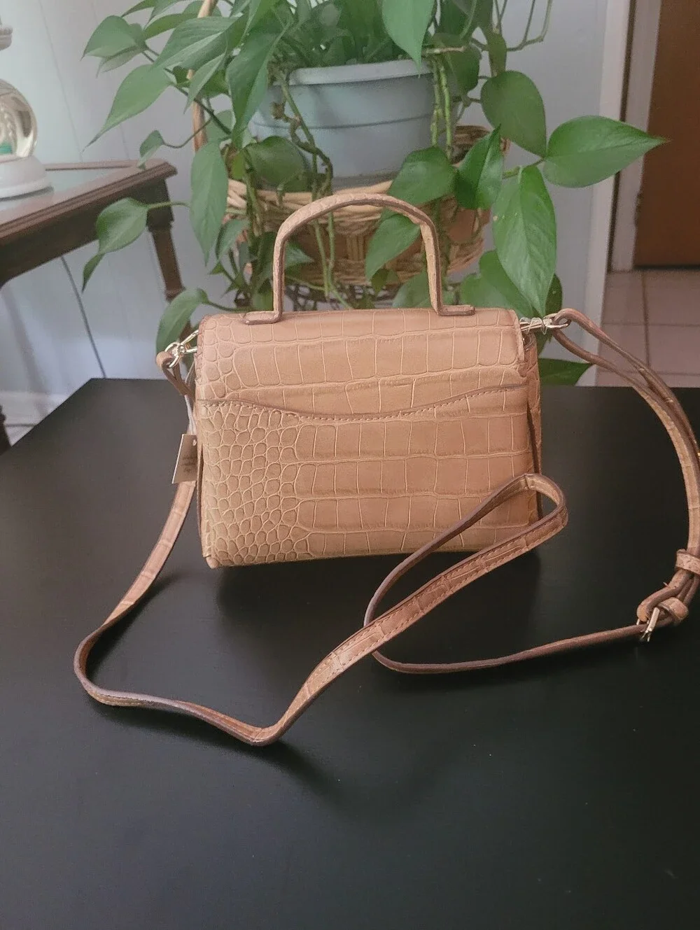 no brand stylish tan